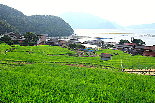 thống kê xổ số đồng nai